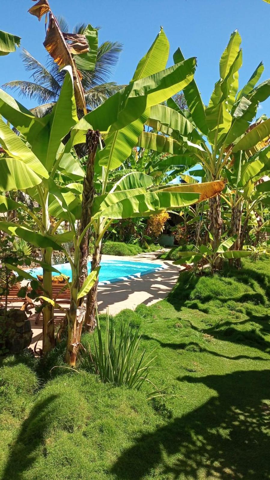 Hotel Pousada Rainha Das Aguas Ilhéus Esterno foto